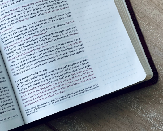 ترجمة الأدب السعودي